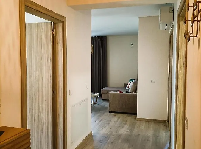 Elite 4b 波尔蒂芒